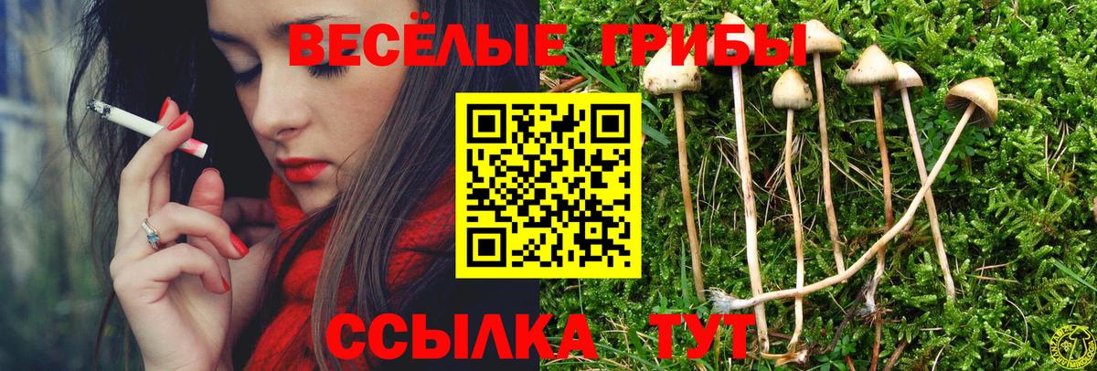 Коммунар  Галлюциногенные грибы Psilocybe  Галлюциногенные грибы MAGIC MUSHROOMS  Вход с VPN 